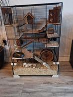 Hamsterkooi groot meerdere lagen alle spullen erbij., Dieren en Toebehoren, Knaagdieren en Konijnen | Hokken en Kooien, Ophalen