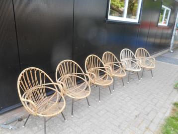 6 Rotan kuips stoeltjes beschikbaar voor biedingen