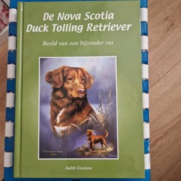 De nova scotia duck tolling retriever