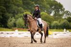 Super lief alround E pony te koop, Dieren en Toebehoren, Minder dan 160 cm, Gechipt, Ruin, L