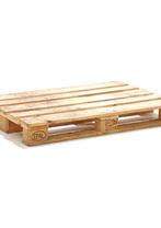 Europallet (10 stuks), Ophalen, Zo goed als nieuw, Pallet, Minder dan 200 cm