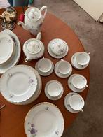 Mosa Maastricht servies, Ophalen