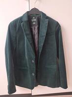 groen velours colbertje WE 158-164, Ophalen of Verzenden, Gedragen, Overige maten, Groen