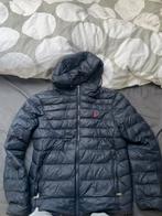 ralph lauren, Kleding | Heren, Jassen | Winter, Blauw, Ralph Lauren, Nieuw, Ophalen of Verzenden