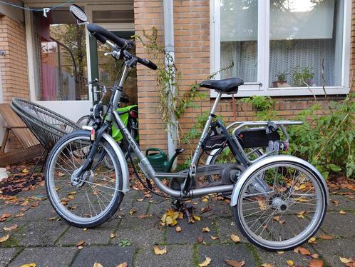 elektrische driewieler voor volwassenen, Diensten en Vakmensen, Welzijn | Overige