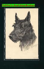 Prachtige ansichtkaart Hond (HO-04), Verzenden, 1920 tot 1940, Gelopen, Overige thema's