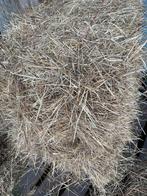 Kleine hooipakjes, Dieren en Toebehoren, Dierenvoeding, Ophalen, Vee