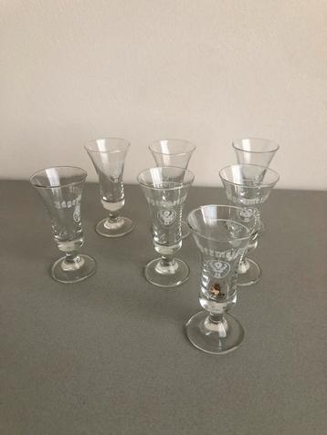 Jägermeister Shotglaasjes - Set van 7 beschikbaar voor biedingen
