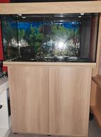 Jewel Rio 125 Led + kast met (nieuwe) toebehoren., Dieren en Toebehoren, Ophalen, Zo goed als nieuw, Leeg aquarium