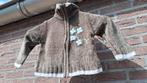 Bruin vest met blauwe bloem maat 104, Ophalen of Verzenden, Zo goed als nieuw, Meisje, Trui of Vest