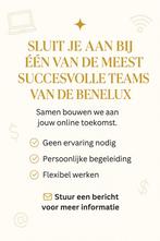Online business opbouwen met veel hulp!, Variabele uren, Overige niveaus, Starter, Overige vormen