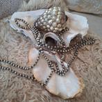 Supermooie druiventros zilverglas, Ophalen of Verzenden