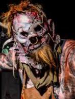 Walibi Ticket + Spookhuis The Villa, Ophalen of Verzenden, Nieuw, Overige typen