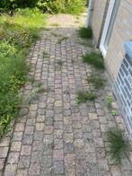 Gratis Bonte koppelstones 10x10x6 cm, Tuin en Terras, Tegels en Klinkers, Ophalen, Gebruikt, Klinkers, 10 m² of meer