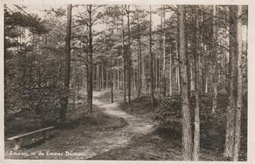 EMMEN In de Emmer Bossen 1948 beschikbaar voor biedingen