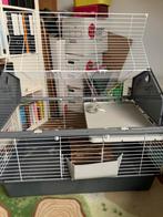 Caviahok, hxbxd 74x96x57 cm grotendeels demontabel, Ophalen, Gebruikt, Kooi, Minder dan 60 cm