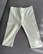 Tommy Hilfiger legging grijs 12mnd, Meisje, Ophalen of Verzenden, Broekje