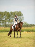 Gave New Forest D pony, Dieren en Toebehoren, Pony's, Merrie, Met stamboom, Dressuurpony, M