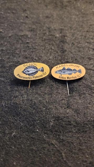 Vissen speldjes beschikbaar voor biedingen