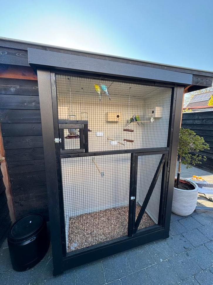 Mooie vogel voliere, Dieren en Toebehoren, Vogels | Hokken en Kooien, Nieuw, Volière, Metaal, Ophalen