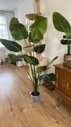 Strelitzia kunstplant ZGAN, Huis en Inrichting, Kamerplanten, Ophalen of Verzenden, Halfschaduw, 150 tot 200 cm