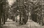 Kruislaan in Beetsterzwaag, Ophalen of Verzenden, Voor 1920, Gelopen, Friesland