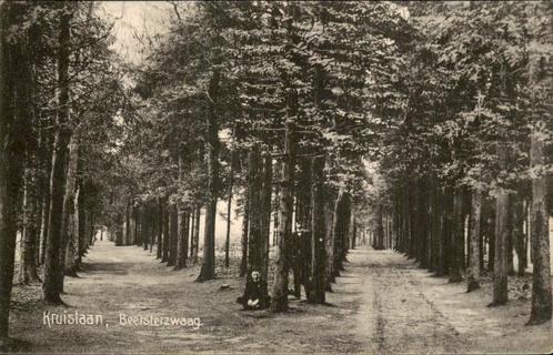 Kruislaan in Beetsterzwaag, Verzamelen, Ansichtkaarten | Nederland, Gelopen, Friesland, Voor 1920, Ophalen of Verzenden