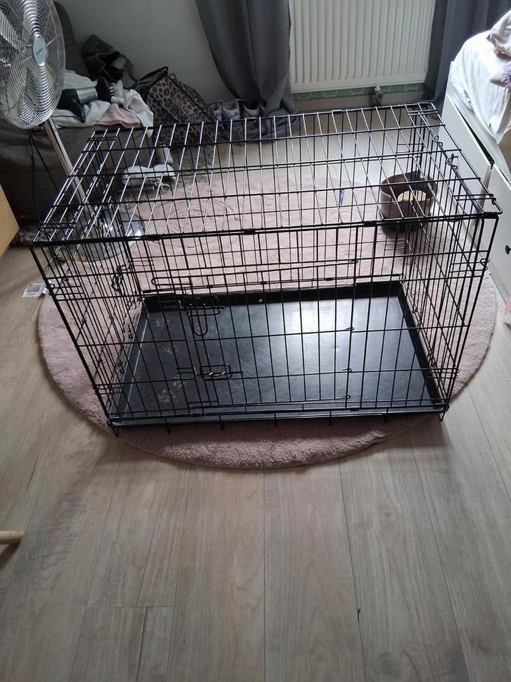 Bench voor puppy tot middelgrote hond, Dieren en Toebehoren, Hondenbenches, Ophalen