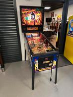 Prachtige flipperkast Stern Ripley’s Believe It Or Not, Verzamelen, Automaten | Flipperkasten, Ophalen, Stern, Zo goed als nieuw