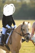 Blikvanger bixie A pony te koop, Dieren en Toebehoren, Pony's, Merrie, Gechipt