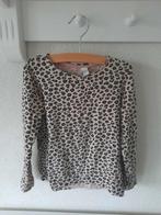 H&M Beige Panterprint Panter Longsleeve Maat 110-116, Kinderen en Baby's, Kinderkleding | Maat 110, Ophalen of Verzenden, Zo goed als nieuw