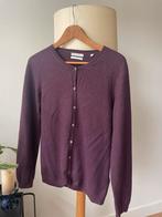 Cashmere vestje Christian Berg - Maat 42, Paars, Maat 42/44 (L), Ophalen of Verzenden, Zo goed als nieuw