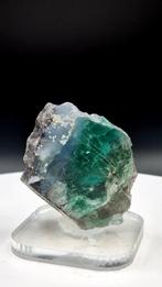 Exceptional Green and Blue Fluorite, Verzamelen, Mineralen en Fossielen, Ophalen of Verzenden, Mineraal