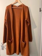 Vest xl, Kleding | Dames, Truien en Vesten, Garcia, Ophalen of Verzenden, Zo goed als nieuw, Maat 46/48 (XL) of groter