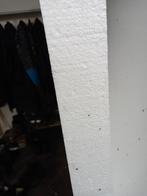 Tempex, Doe-het-zelf en Verbouw, Isolatie en Afdichting, Ophalen, Nieuw, 15 m² of meer, Vloerisolatie