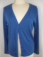 CITY LIFE vest kobalt blauw maat M, Ophalen of Verzenden, Zo goed als nieuw, Maat 38/40 (M), Blauw