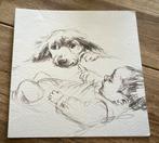 Hardeberg,,18-05-2002…Rachel, Ophalen of Verzenden, 2000 tot heden