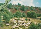 HELLENDOORN Landschap Kudde met Herder, Verzamelen, Ansichtkaarten | Nederland, Verzenden, 1980 tot heden, Gelopen, Overijssel