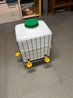 kippen drinkbak, Vrouwelijk, Kip