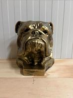 Goudkleurige hondenkoppen Engelse bulldog, Tuin en Terras, Tuinbeelden, Ophalen, Nieuw, Overige materialen, Dierenbeeld