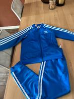 Adidas trainingspak, Kleding | Heren, Blauw, Overige maten, Ophalen of Verzenden, Zo goed als nieuw