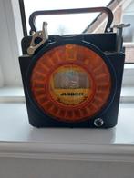 Duivenklok, Mannelijk