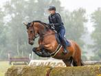 Kentaur Hermeso springzadel, Dieren en Toebehoren, Paarden en Pony's | Zadels, Ophalen, Zo goed als nieuw, Springen