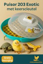 Reptielen eieren? Exotic Extra 203 (Nieuw), Dieren en Toebehoren, Nieuw, Ophalen of Verzenden, 123boredmachine, Webshop@123broedmachine.nl
