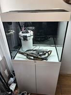 Juwel aquarium 200 met meubel, Dieren en Toebehoren, Vissen | Aquaria en Toebehoren, Ophalen, Zo goed als nieuw, Leeg aquarium