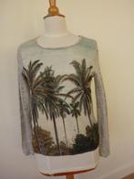 Scotch & Soda : Nieuw shirt met palmen print. Maat S, Ophalen of Verzenden, Nieuw, Maat 46 (S) of kleiner, Scotch & Soda