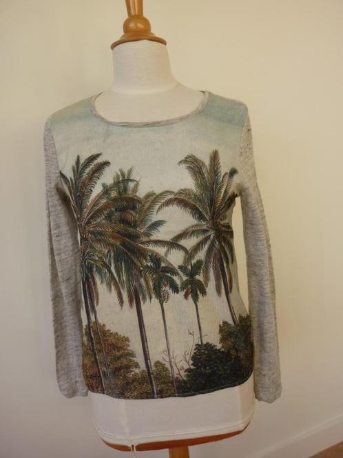 Scotch & Soda : Nieuw shirt met palmen print. Maat S, Kleding | Heren, Truien en Vesten, Nieuw, Maat 46 (S) of kleiner, Ophalen of Verzenden