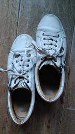 Helioform witte gympen maat 6 GEZOCHT, Wit, Ophalen of Verzenden, Helioform, Sneakers of Gympen