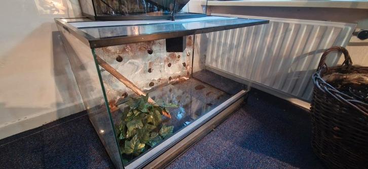 1 terrarium, Dieren en Toebehoren, Reptielen en Amfibieën | Toebehoren, Zo goed als nieuw, Ophalen