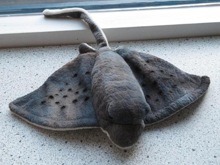 Pijlstaartrog rog zacht velours meet ca 34 cm totaal, Kinderen en Baby's, Speelgoed | Knuffels en Pluche, Zo goed als nieuw, Overige typen